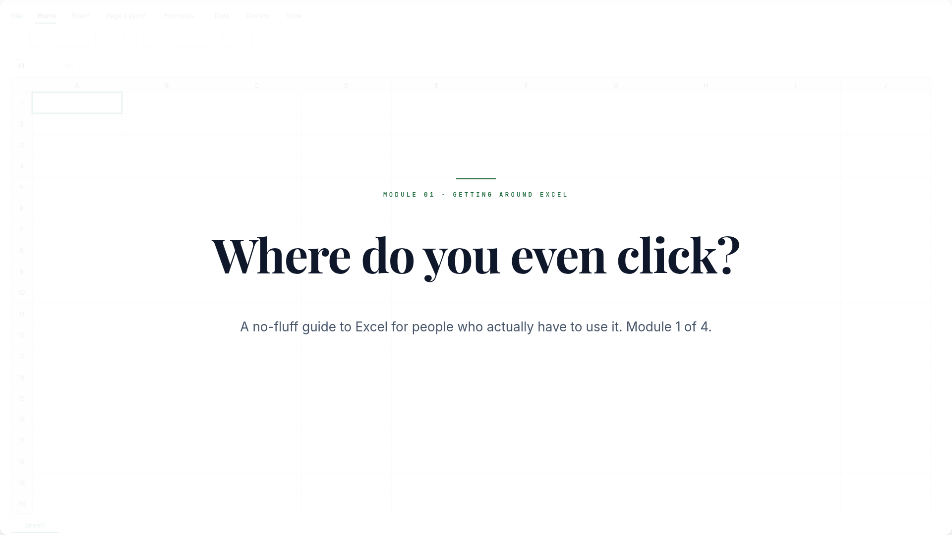Excel Module 1